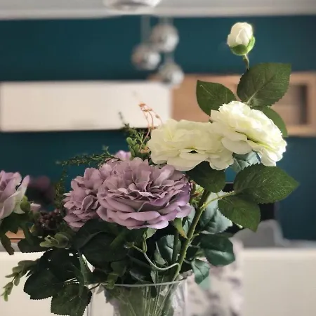 Semesterbostad House Franny Zadar