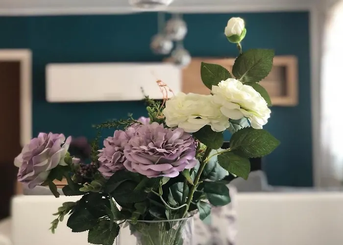 Holiday home House Franny Zadar